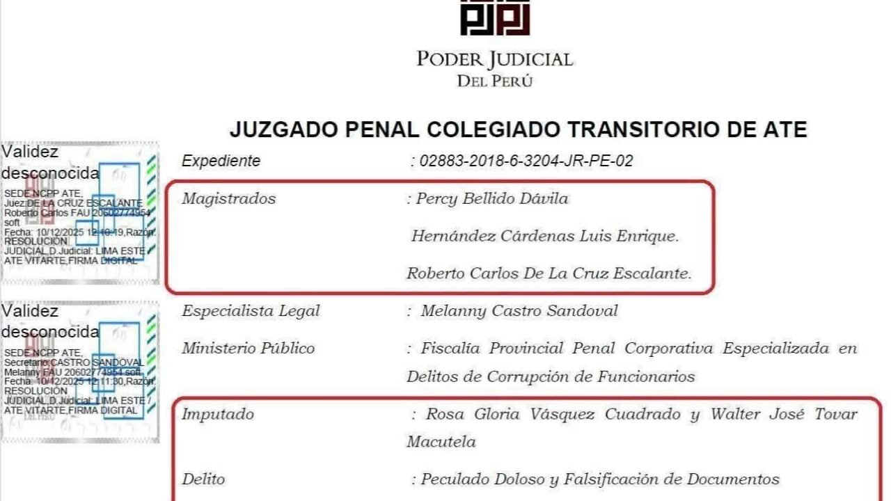 DENUNCIA ANTE LA JUNTA NACIONAL DE JUSTICIA POR ACTUACIÓN DE MAGISTRADOS EN CASO DE ROSA VÁSQUEZ