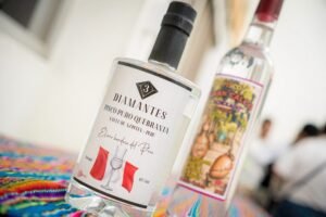 🍇 ¡HUARAL SE CONVIERTE EN EL CORAZÓN DEL PISCO EN LA REGIÓN LIMA! PRODUCTORES Y ESPECIALISTAS SE REÚNEN PARA IMPULSAR LA TRADICIÓN, EL TURISMO Y EL DESARROLLO VITIVINÍCOLA