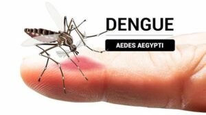 HUARAL EN ALERTA POR INCREMENTO DE CASOS DE DENGUE Y CIRCULACIÓN DEL SEROTIPO DENV-3 EN PAMPA LIBRE